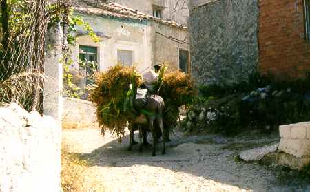 id138-178_19.jpg (19713 Byte)